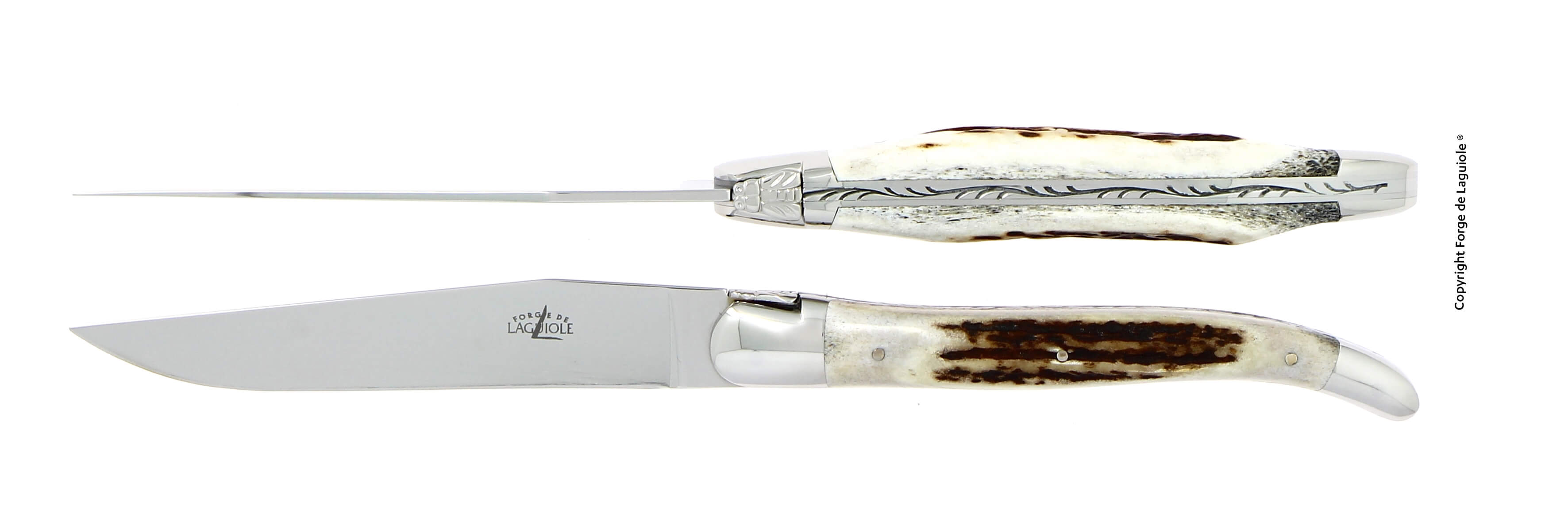 Forge De Laguiole - Handtag av horn - Högpolerat blad i rostfritt stål