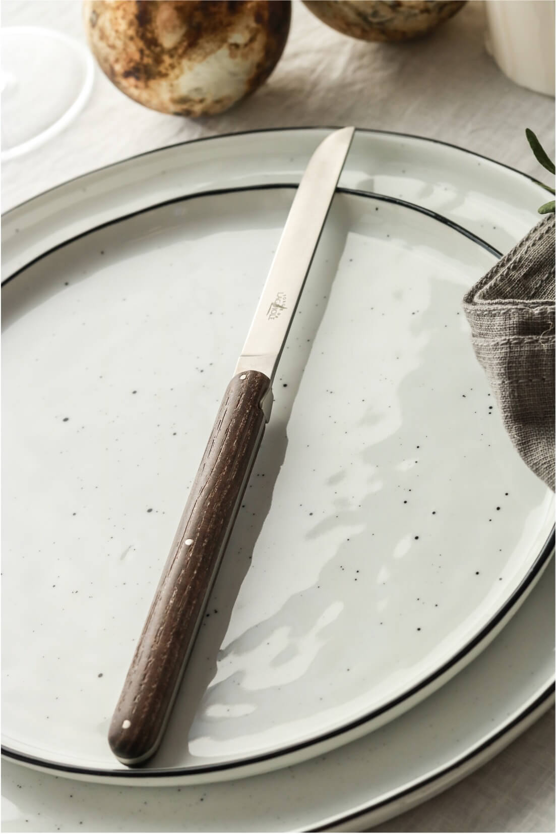 Forge De Laguiole bordsknivar designade av ANDREE PUTMAN
