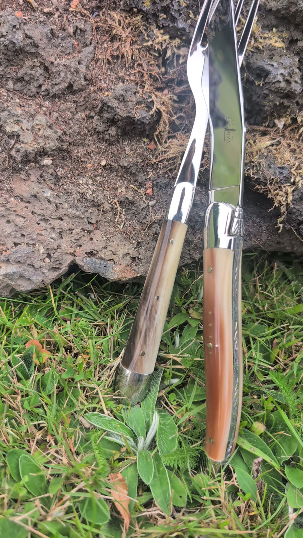 Forge De Laguiole med lätt hornhandtag och briljant blad i rostfritt stål