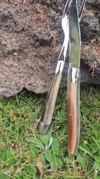 Forge De Laguiole med lätt hornhandtag och briljant blad i rostfritt stål