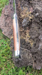Forge De Laguiole med lätt hornhandtag och briljant blad i rostfritt stål